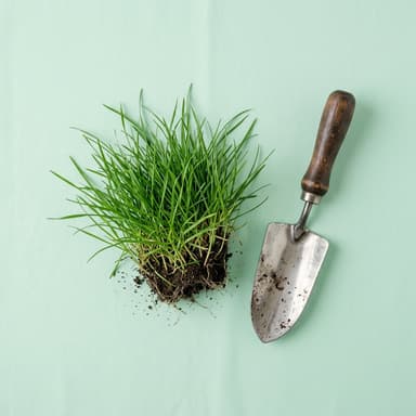 Благоустройство